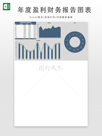 年度盈利財務(wù)報告圖表