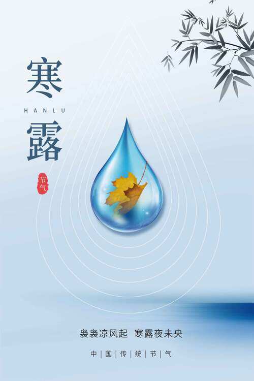 寒露水珠竹叶枫叶灰蓝色节气海报