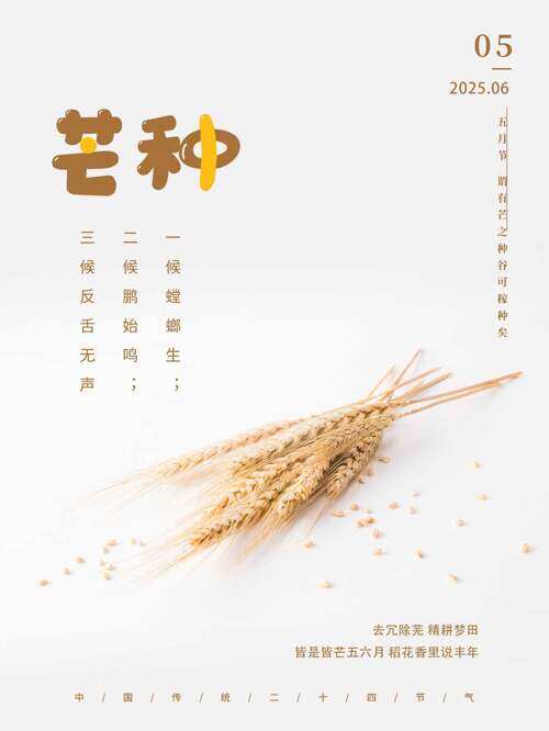 极简背景金色麦穗插画芒种节气海报