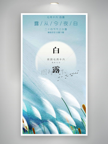 露从今夜白手绘白色芦苇白露节气海报